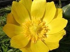 먼 길 돌아 다시 만나는 날. 6