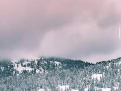 안녕, 내 겨울아