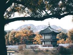 고향 집에 다녀오겠습니다.