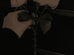 검사외전의 한치원 천사님을 모십니다