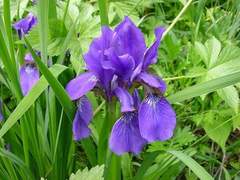 감정 같은 건~ 어디에도 쓸모없다고 악마는 말했어~