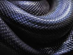 사랑하는 카밀라, 제가 당신을 사랑하는 것은 맞지만