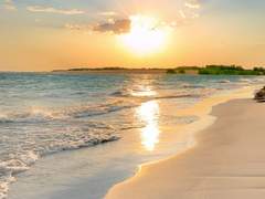 [베토슈] 일주일이 너무 짧다고 누가 말했던가?