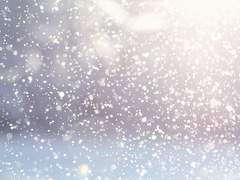 [패치퍼블] 나와 나타샤와 흰 당나귀