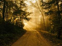 [명의청현/지풍] 나의 바람 我的愿望