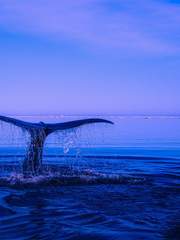 잃어버린 소재를 찾아서