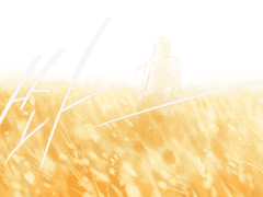 베네르디(2015) : 이리야 캄페르(5)