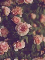 맥카이딘찰이로 겜트롤로 이어지는 환장할 인연