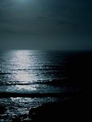 전자 오락 수호대