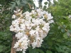 두서없이 나의 우울을 얘기하기