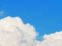 비가 내려도 행복한 이유 100가지