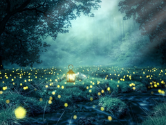 [요한 테일드] 서랍 속 苦海