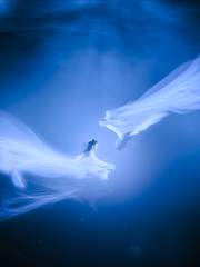 광운(光抎: 빛을 잃다)