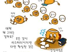 연성러의 생태와 일주일 패턴