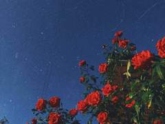 우리의 엇갈린 모든 나날 속에서