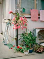 승승이네 하숙집