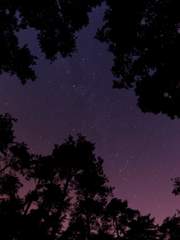 [알파윌] 달이 뜨지 않는 밤