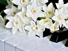 Claude Jeremiah Blake/32