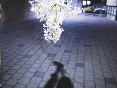 남돌 댄스 리스트