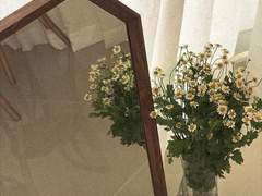 나의 귀중한 천재에게.