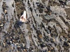 【21】 모아보아요