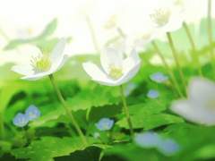 첫사랑의 데시벨 13. (完)