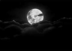 과거의 한 조각.