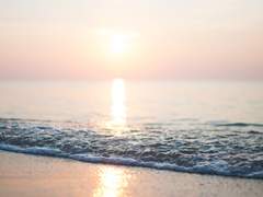 재프레오 ｜ Infrequently (2)