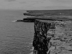 작은 나비 이야기