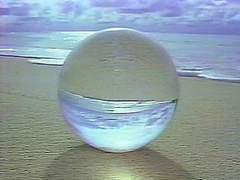 I’ll Never Fall In Love Again