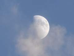 [히나른] 여우들과 쟈근 까마귀 4.