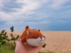 강릉 바다에 간 이야기