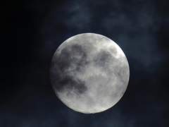 [하쿠카이] 진실