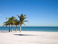 [밀러하디] 플로리다에서 모히또 한 잔 - 01