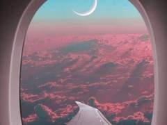 8月 무렵 현훈한 도화 향기