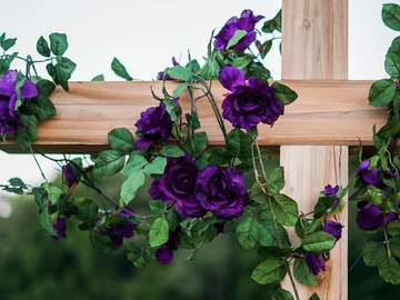 또 다른 너의 이야기