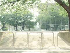 [카나치아] 여름빛깔 위로