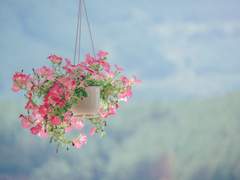 [스워/아나오비]폭풍