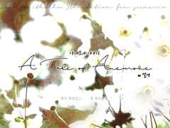 아네모네 이야기