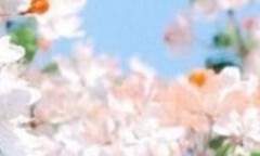 병아리는 어떻게? 비빔비빔!