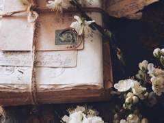 [비밀의 숲/HL/장건 드림] 샘플 전문 공개