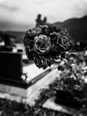 침식된 영혼은 어디에 잠드는가