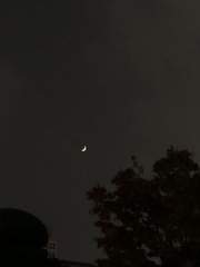 OO초등학교 나폴리탄 괴담