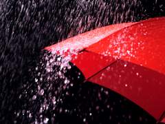 피나타 지젤 드 오블레앙