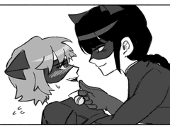 레이디블랙&블랙캣