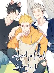 HQ : 언덕아래 고엉이