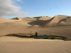 [왕샤오] 사막의 오아시스