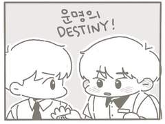 운명의 데스티니!