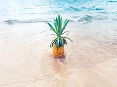 저는 저 하나 먹여살리기도 벅찬데요