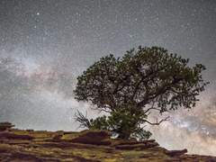 [로오히/즈라한 드림] 우기의 시작